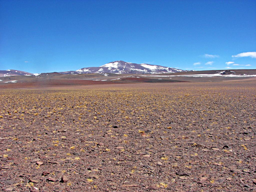 Foto de Laguna Brava, Argentina