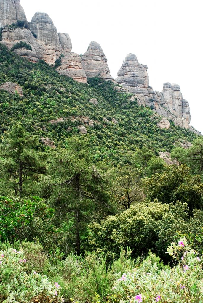 Foto de Macizo de Montserrat (Barcelona), España