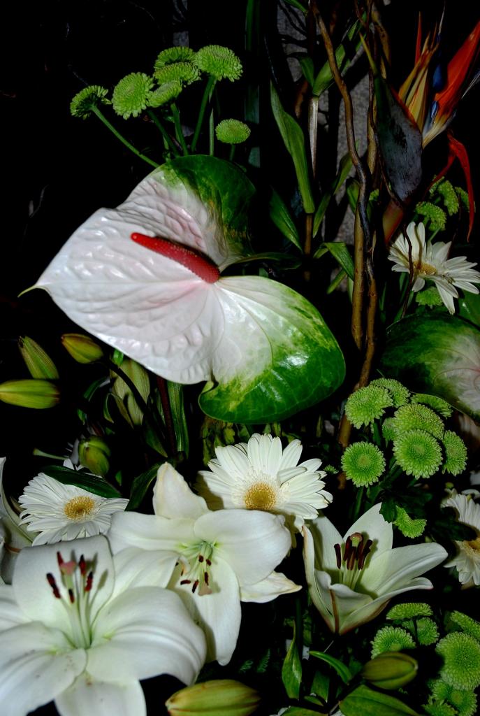 Foto de Temps de Flors (Girona), España