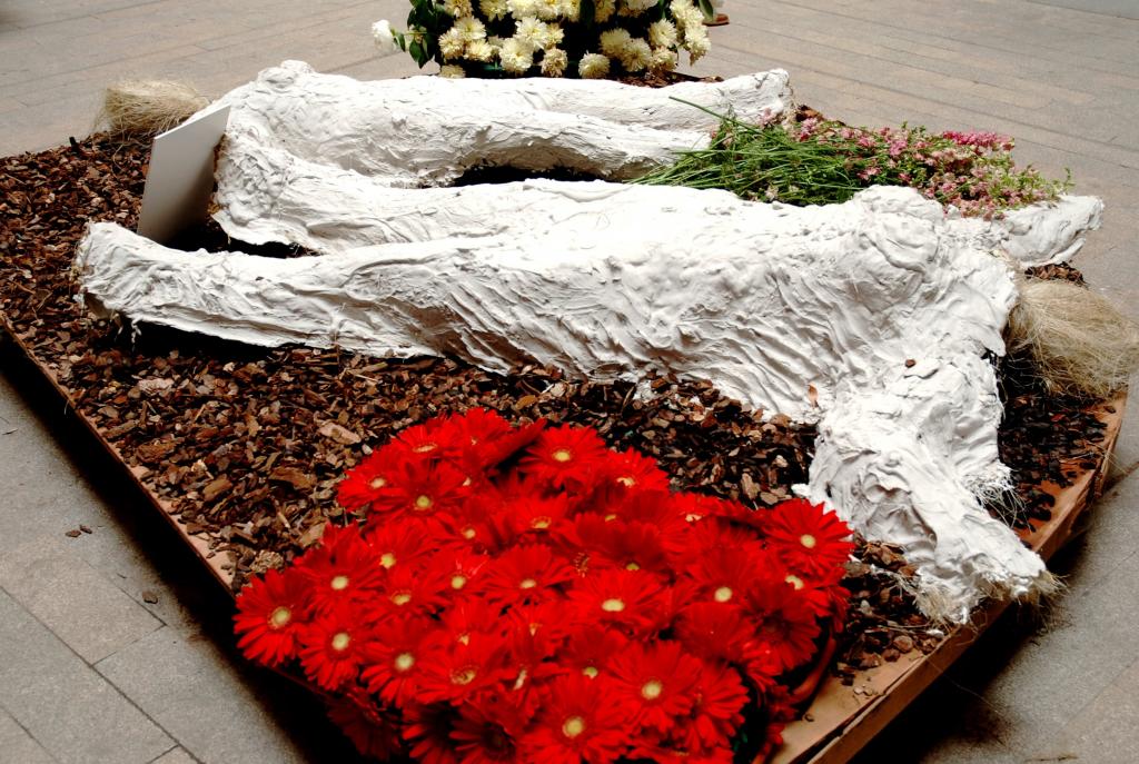 Foto de Temps de Flors (Girona), España