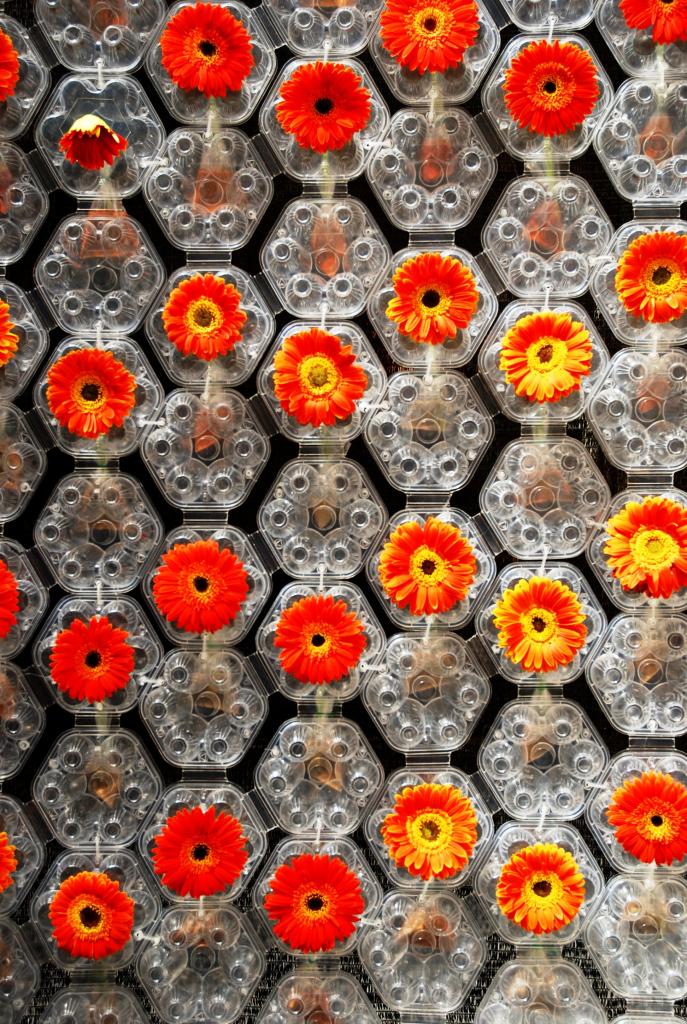 Foto de Temps de Flors (Girona), España