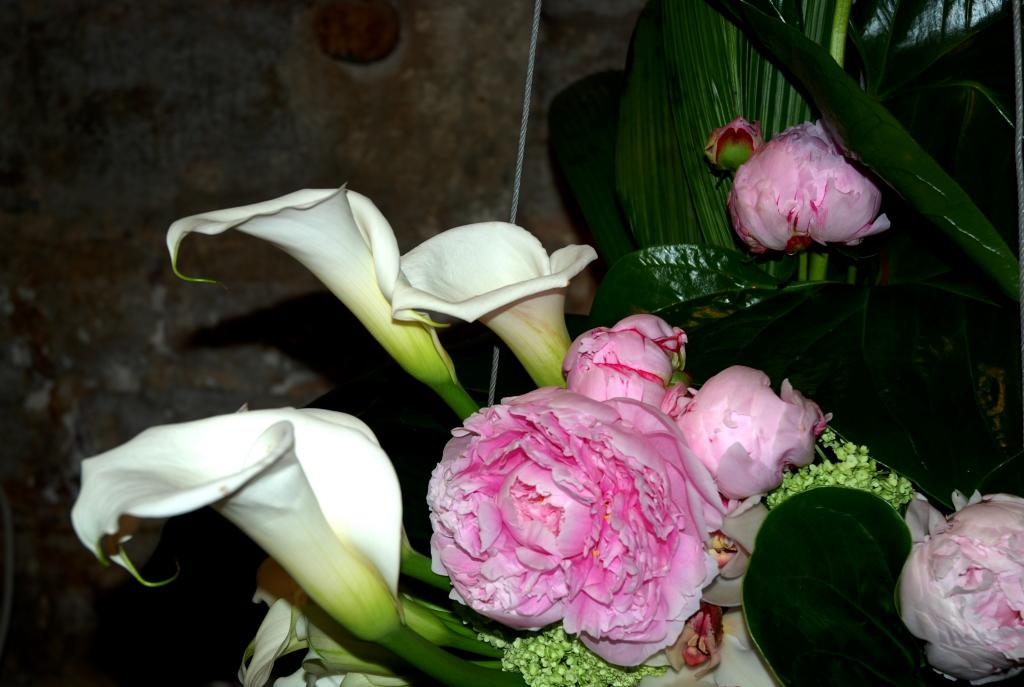 Foto de Temps de Flors (Girona), España