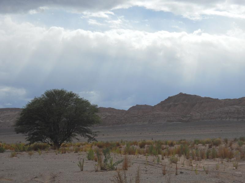 Foto de San Pedro de Atacama, Chile