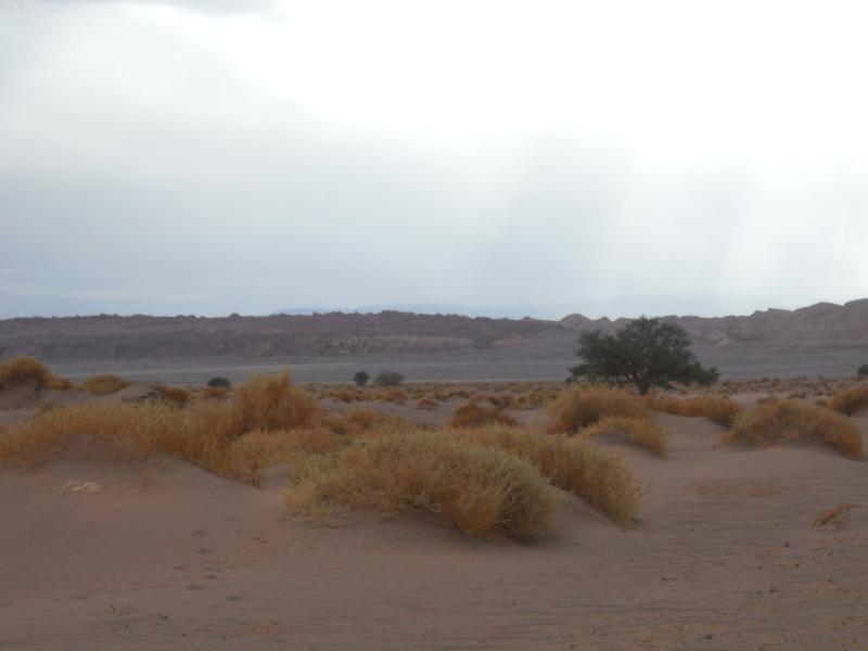 Foto de San Pedro de Atacama, Chile