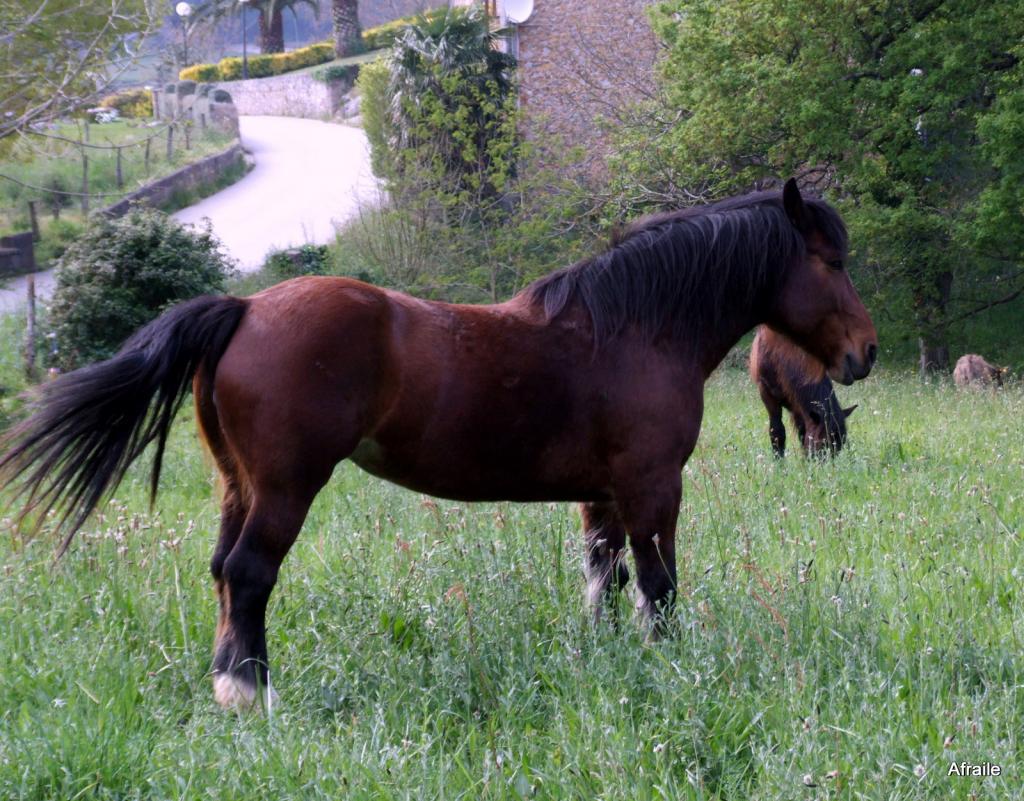 Foto de La Concha (Cantabria), España