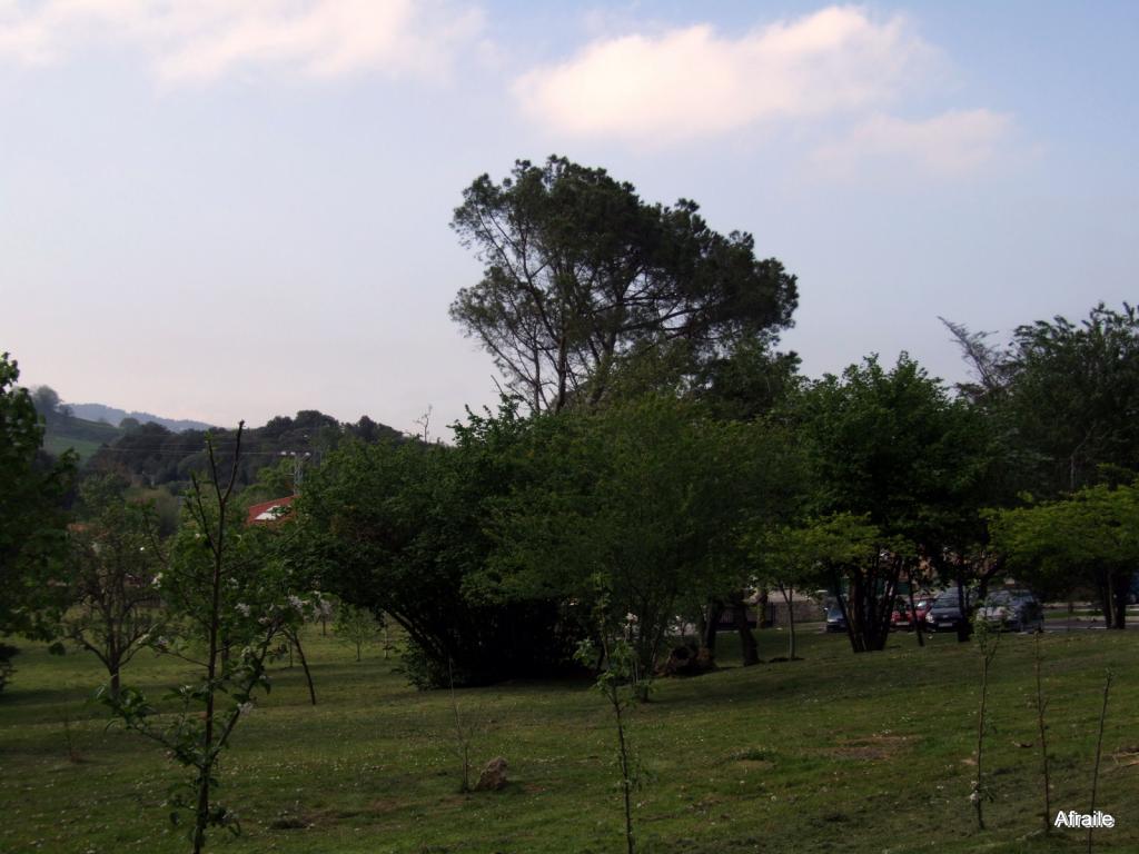 Foto de La Concha (Cantabria), España