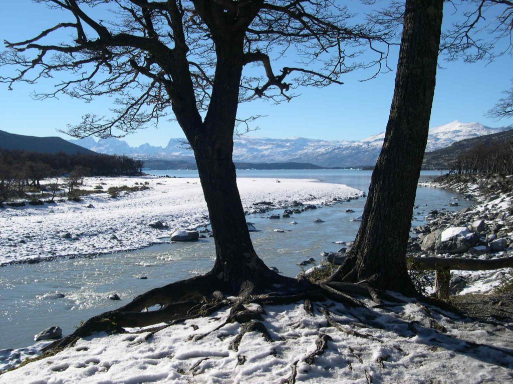 Foto de Lago Argentino, Argentina
