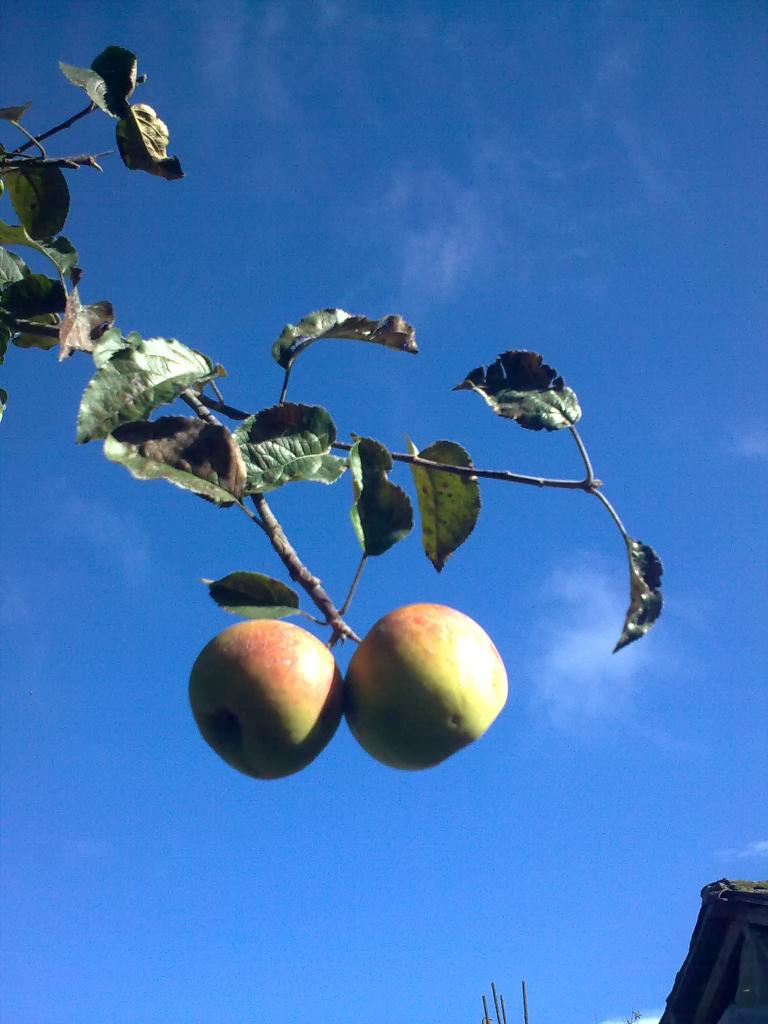 Foto de Bayushig, Ecuador