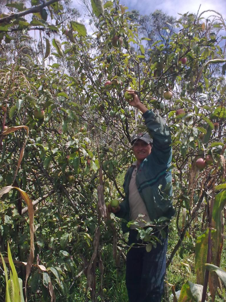 Foto de Bayushig, Ecuador