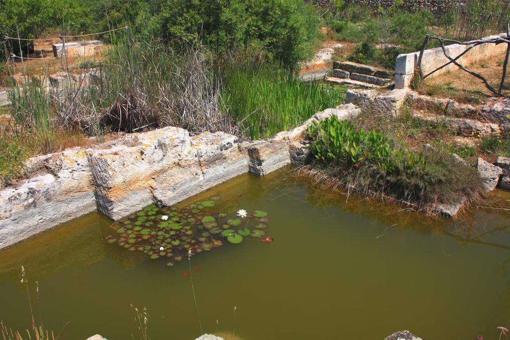 Foto de Ciutadella de Menorca (Illes Balears), España