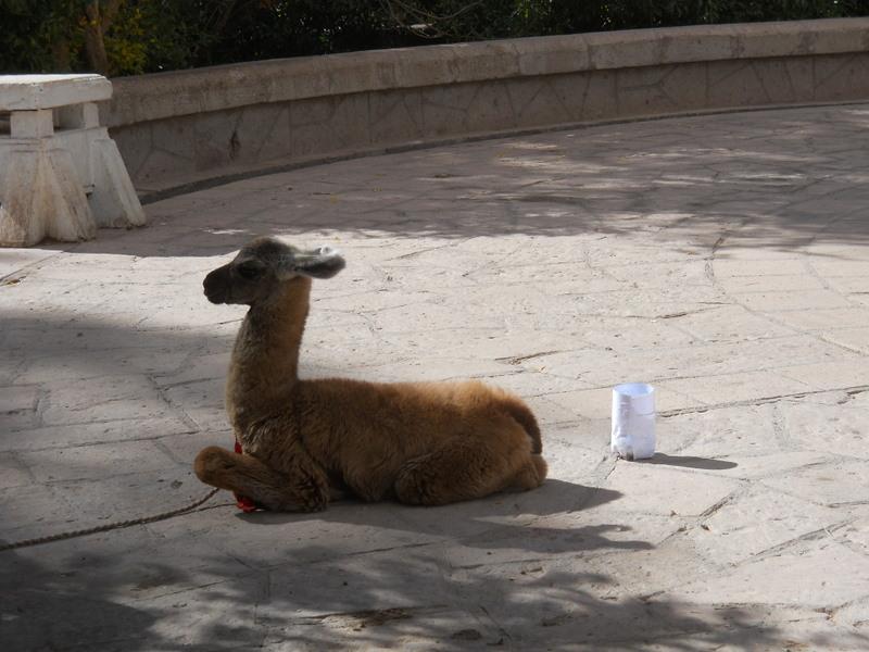 Foto de San Pedro de Atacama, Chile