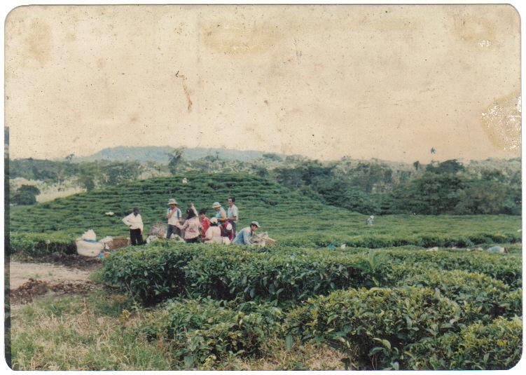 Foto de Té Zulay Shell (Pastaza), Ecuador