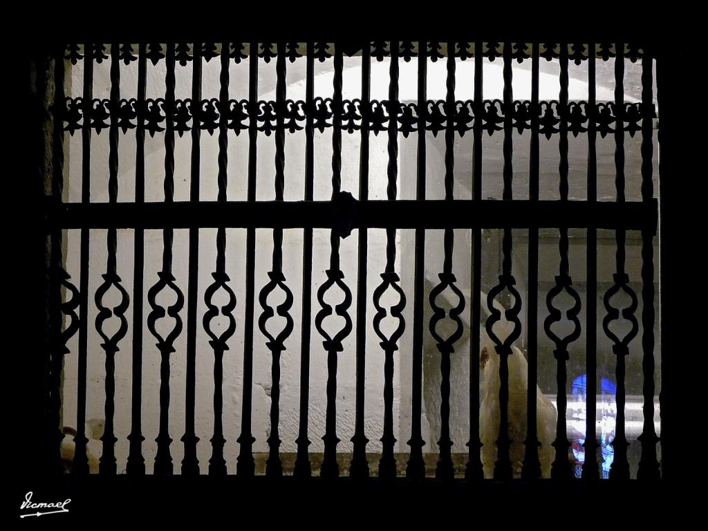 Foto de Santo Domingo de la Calzada (La Rioja), España