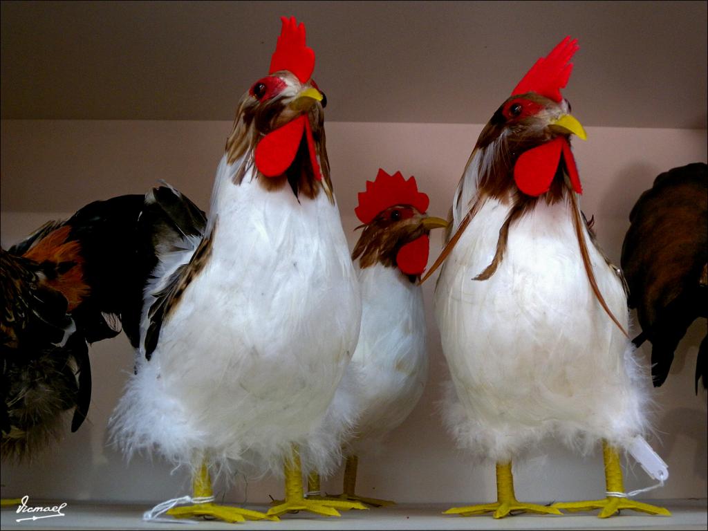 Foto de Santo Domingo de la Calzada (La Rioja), España