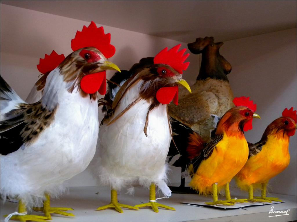 Foto de Santo Domingo de la Calzada (La Rioja), España