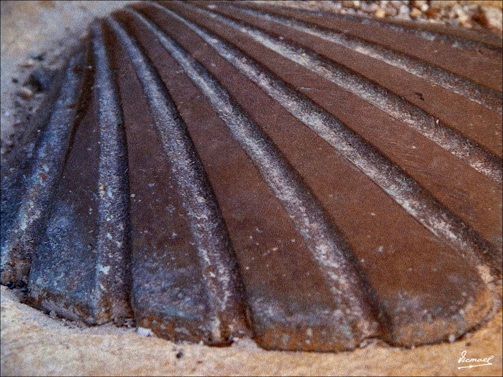 Foto de Santo Domingo de la Calzada (La Rioja), España