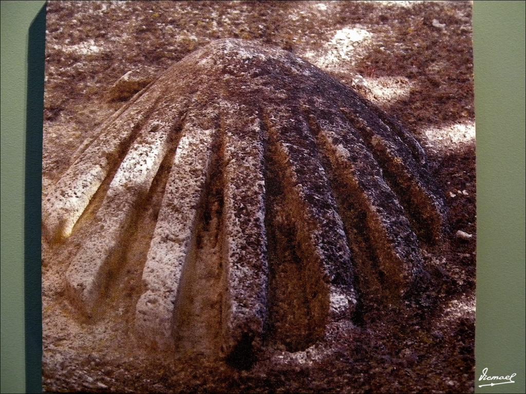 Foto de Santo Domingo de la Calzada (La Rioja), España