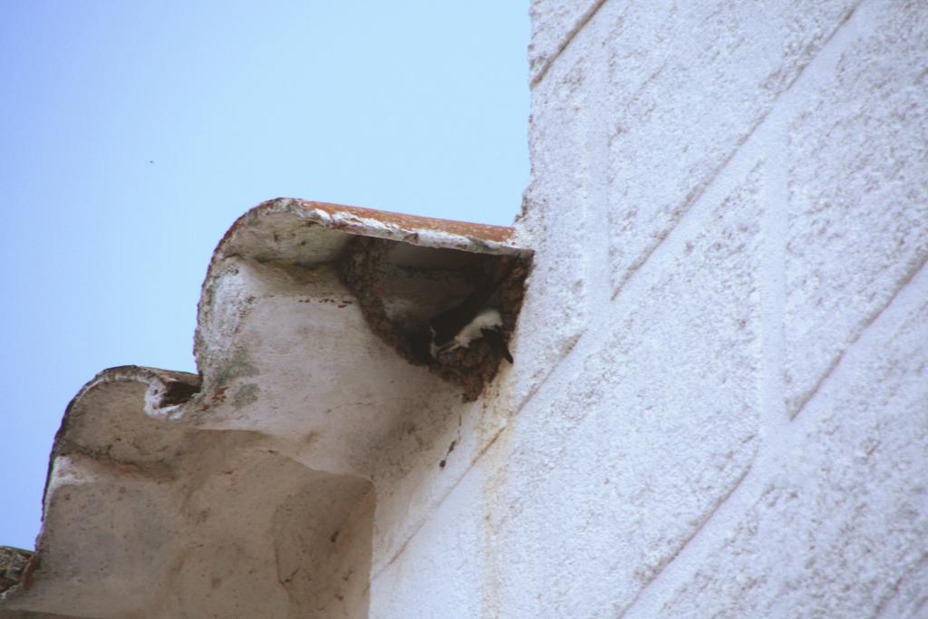 Foto de Es Mercadal (Menorca) (Illes Balears), España
