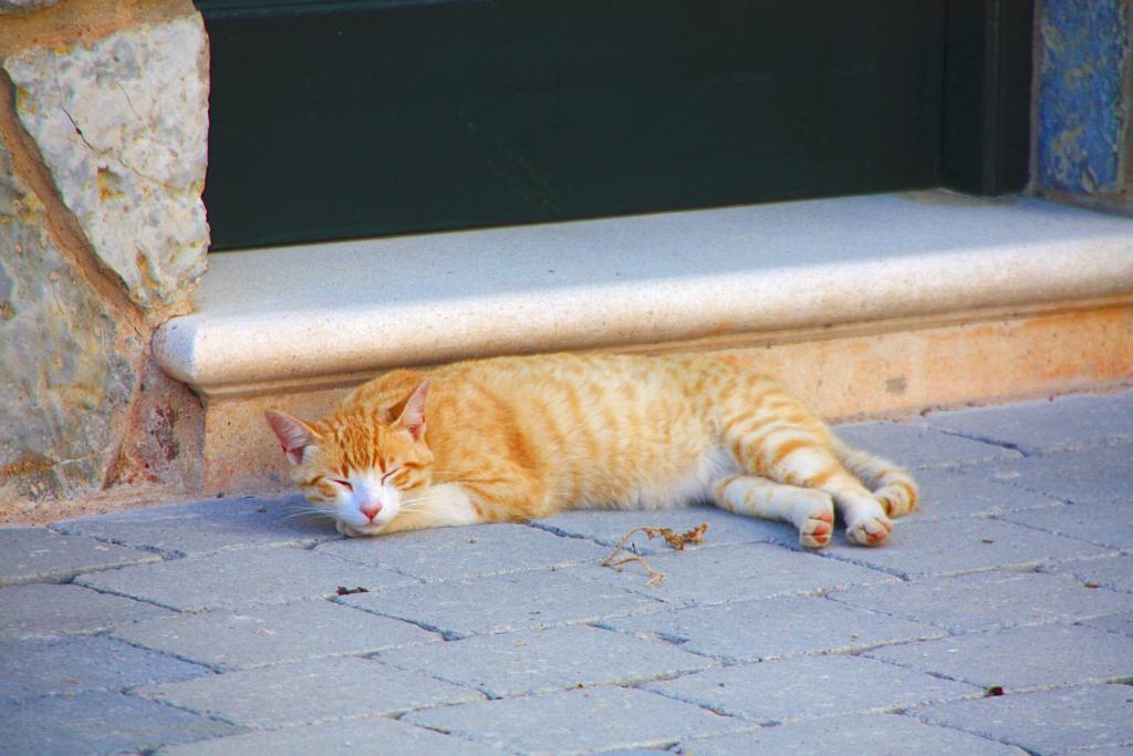 Foto de Es Mercadal (Menorca) (Illes Balears), España