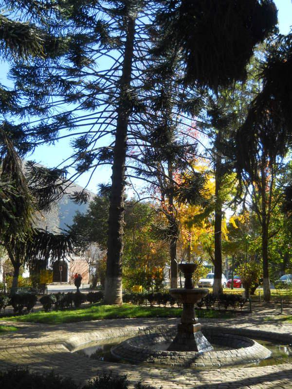 Foto de Curacavi, Chile