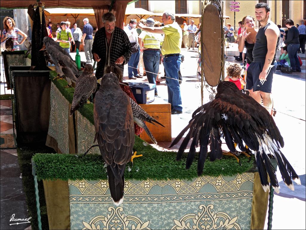 Foto de Zaragoza (Aragón), España