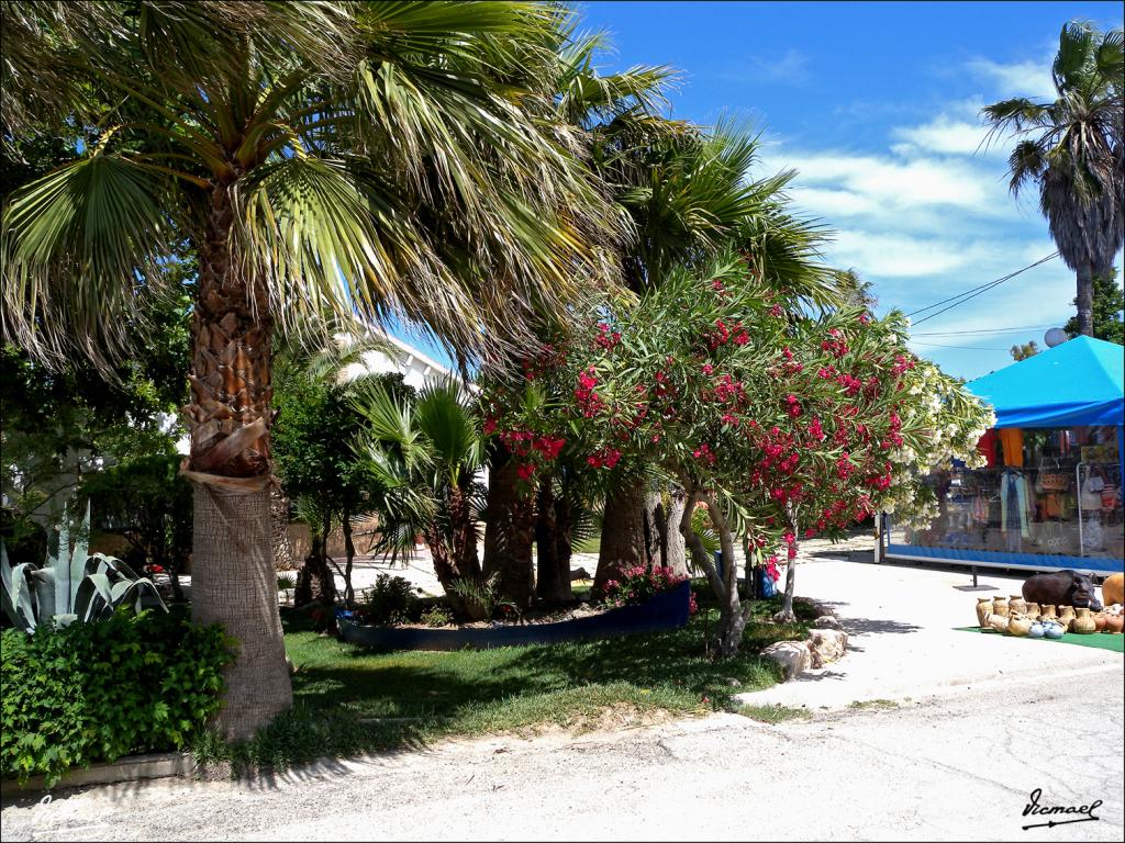 Foto de Deltebre (Tarragona), España