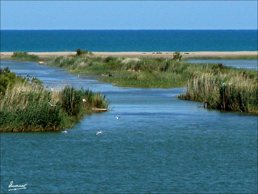 Foto de Deltebre (Tarragona), España
