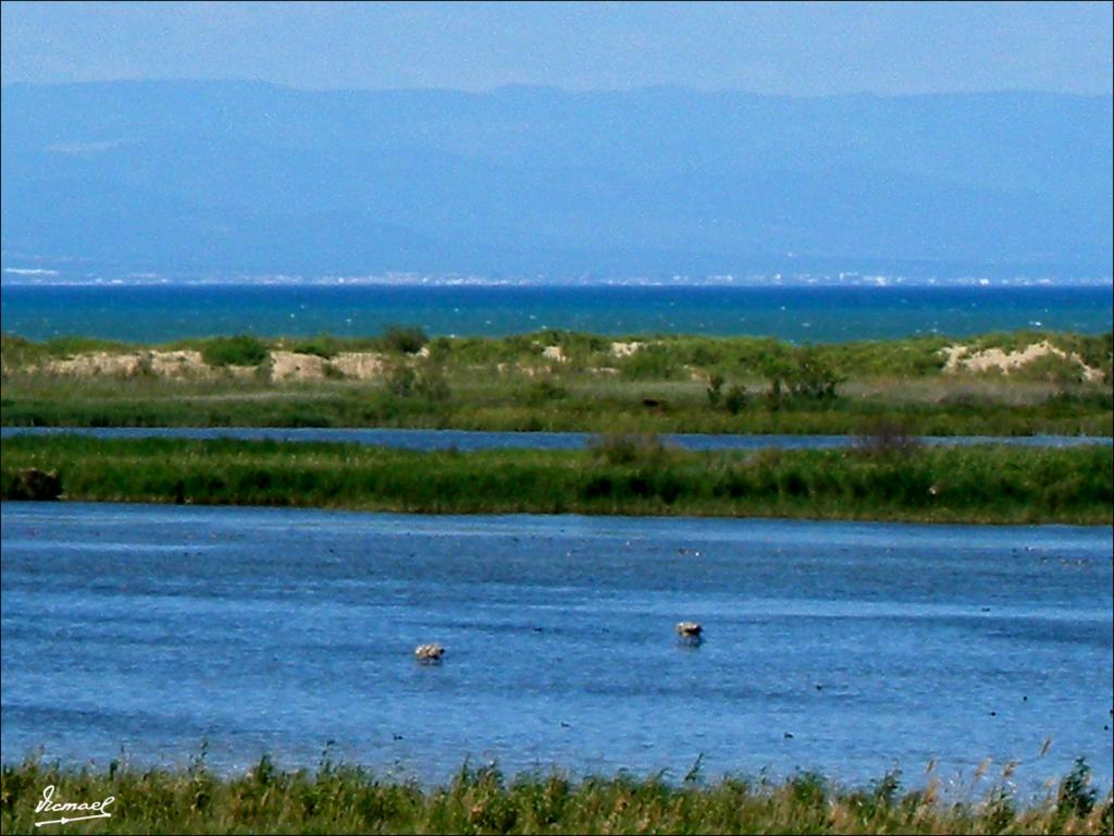 Foto de Deltebre (Tarragona), España