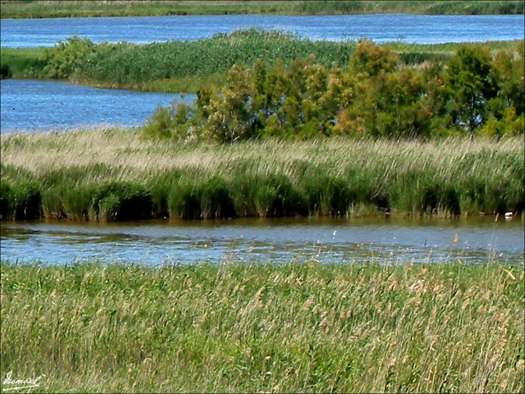 Foto de Deltebre (Tarragona), España