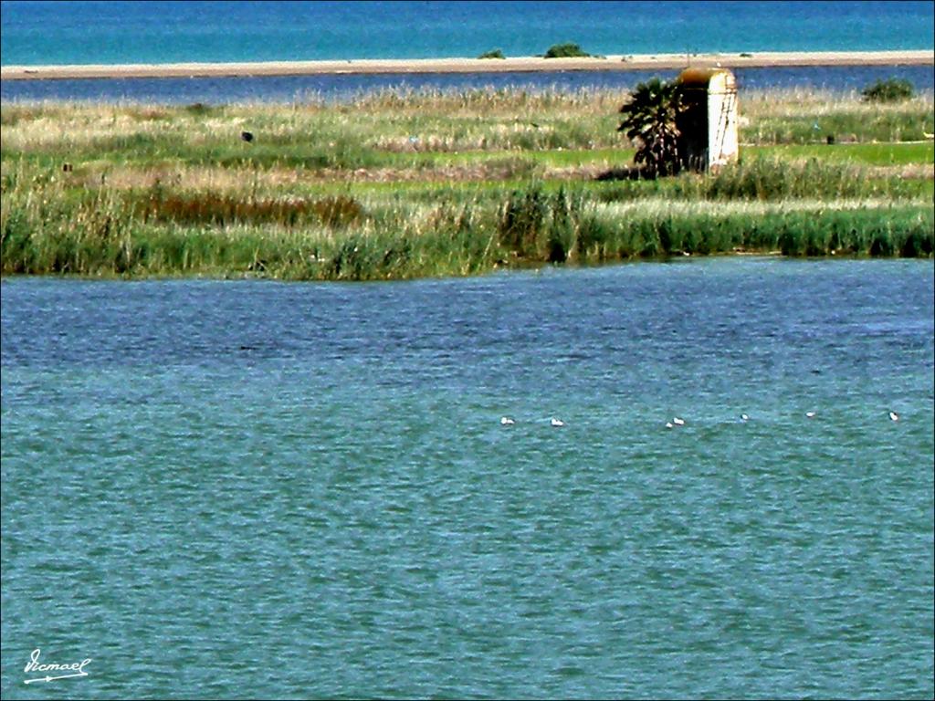 Foto de Deltebre (Tarragona), España