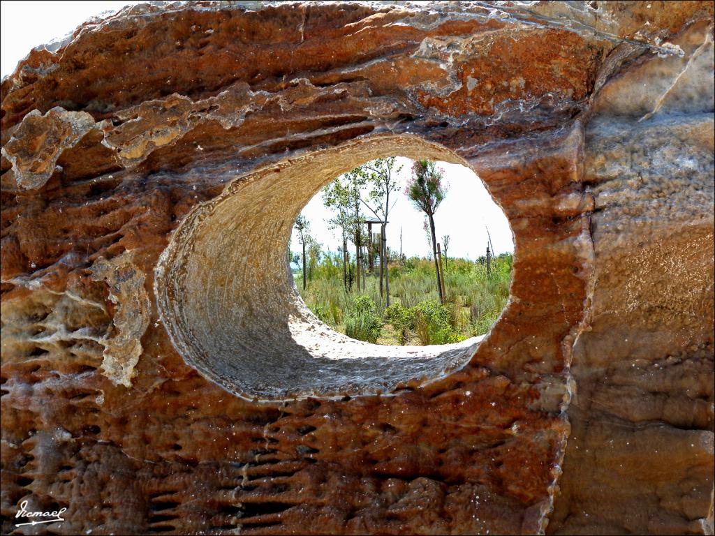 Foto de Deltebre (Tarragona), España
