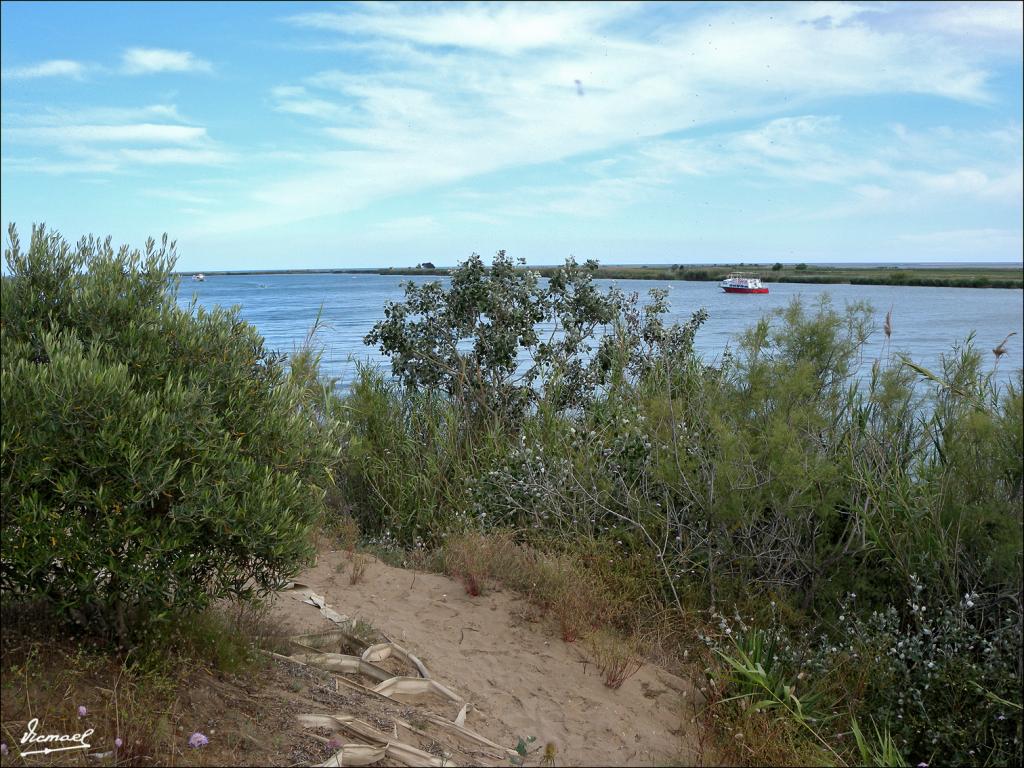 Foto de Deltebre (Tarragona), España
