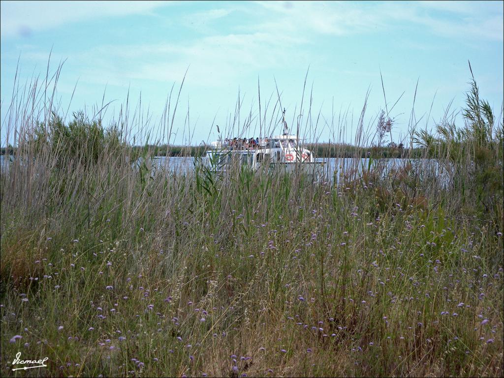 Foto de Deltebre (Tarragona), España