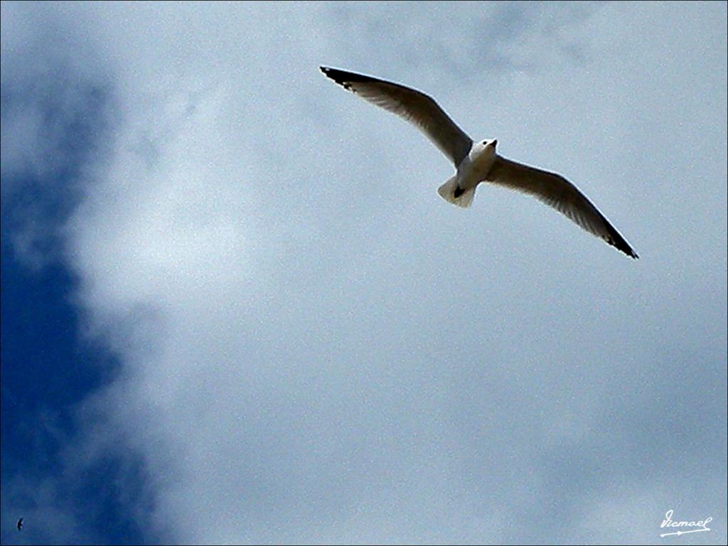 Foto de Deltebre (Tarragona), España
