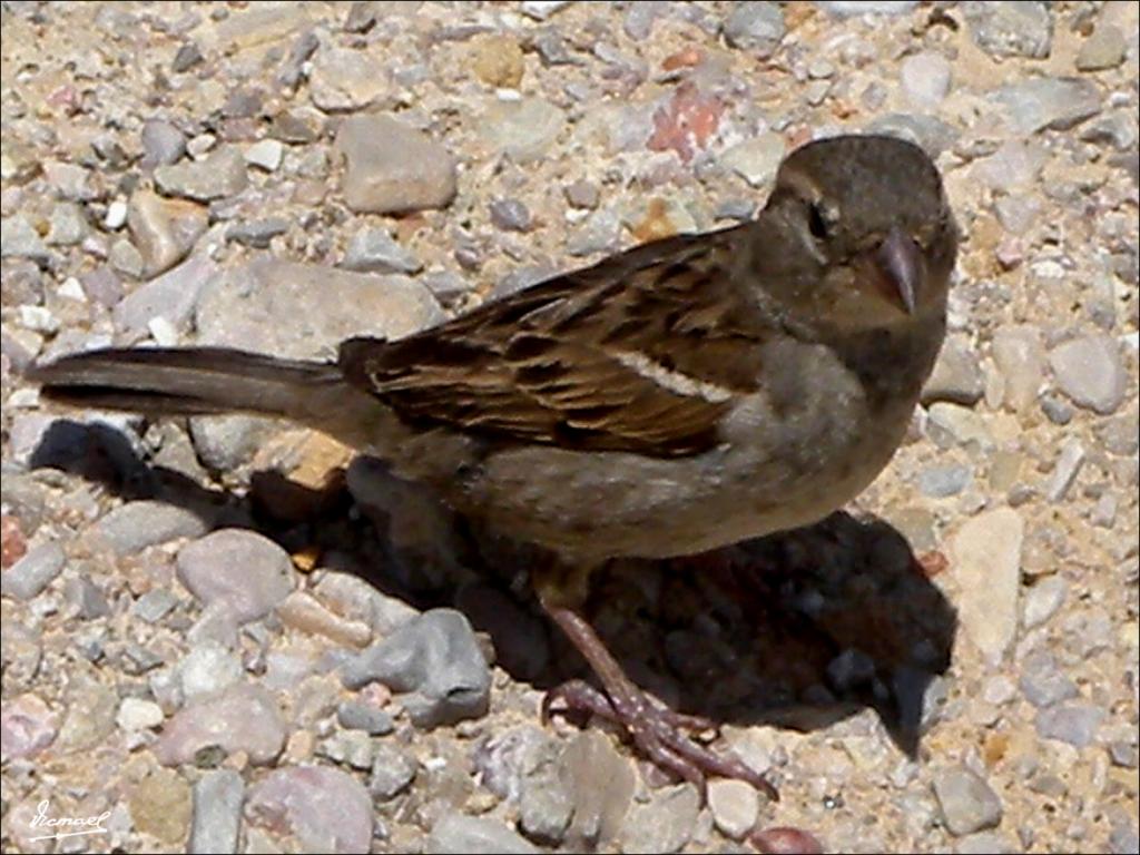 Foto de Amposta (Tarragona), España