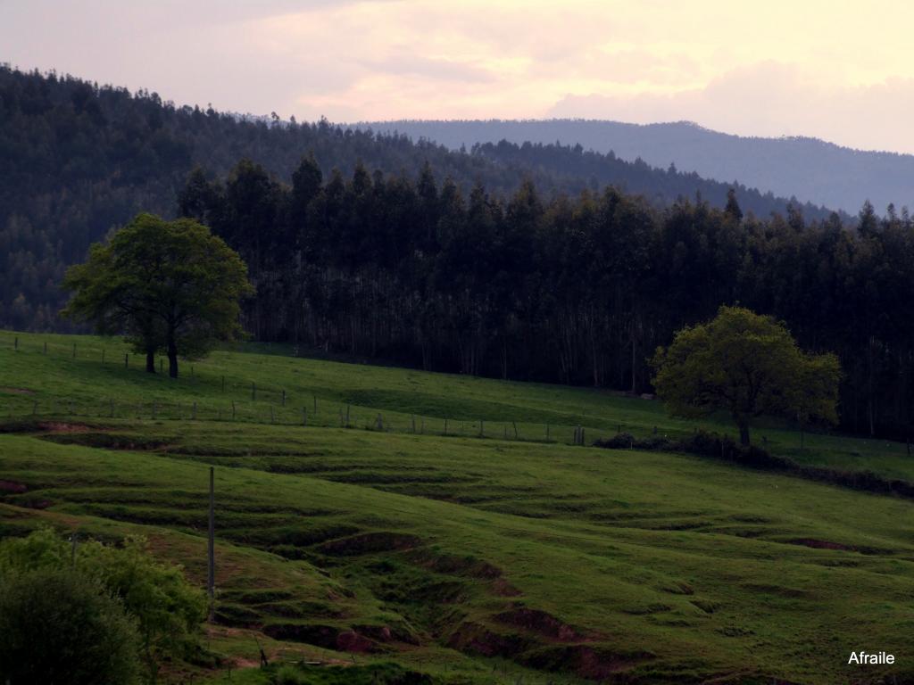 Foto de Parbayon (Cantabria), España