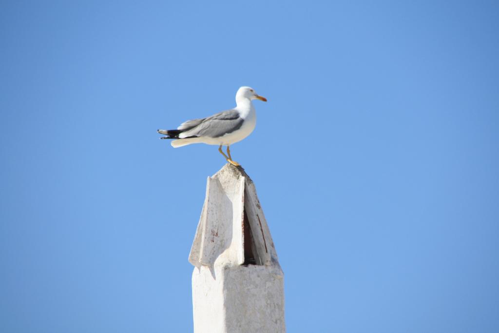 Foto de Benibèquer Vell (Menorca) (Illes Balears), España