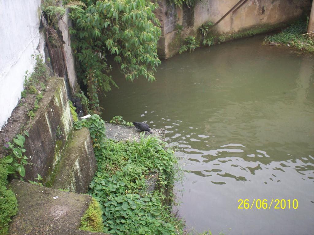 Foto de Turrialba, Costa Rica