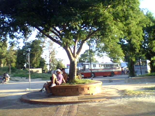 Foto de Pajas Blanca (Montevideo), Uruguay