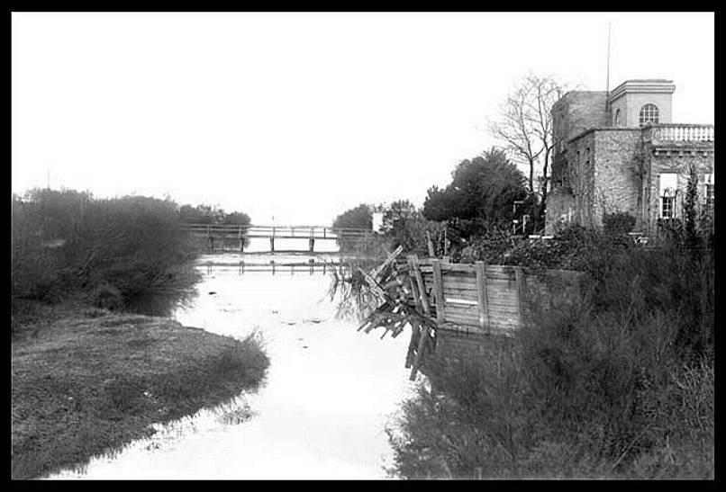 Foto de Pocitos (Montevideo), Uruguay