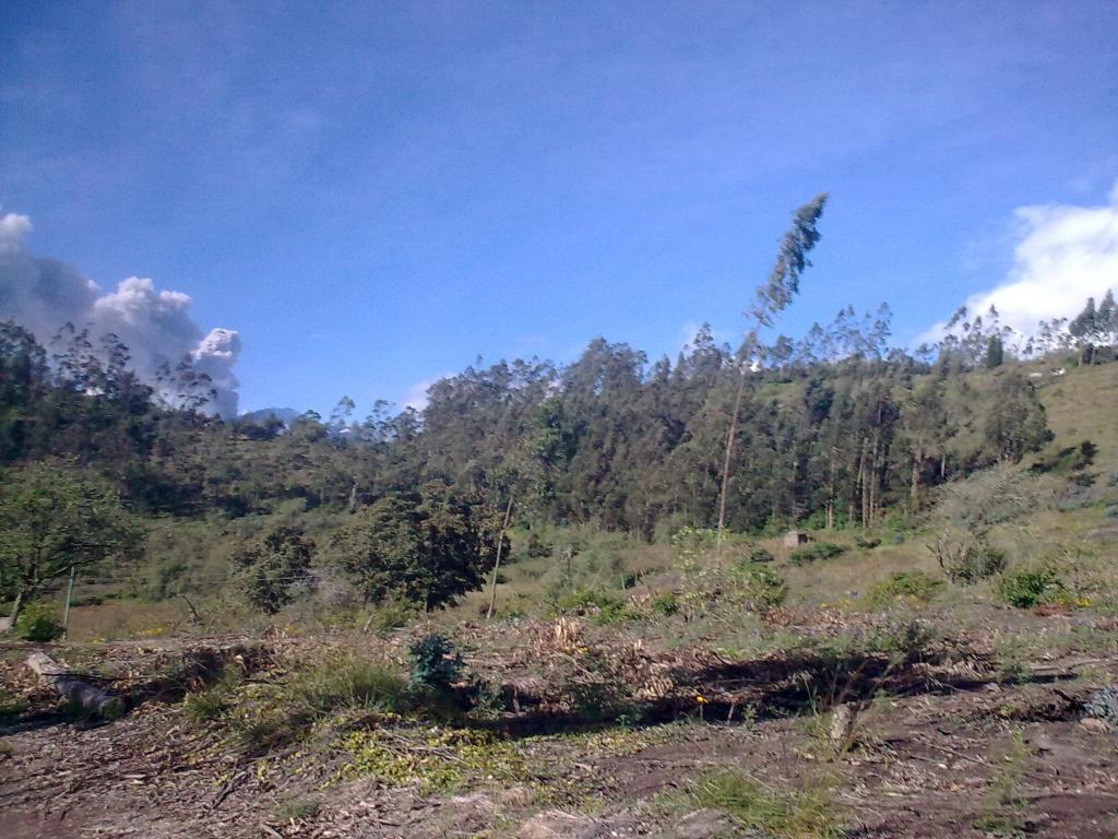 Foto de Bayushig, Ecuador