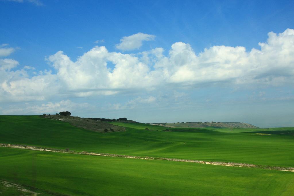 Foto de Baltanas (Palencia), España