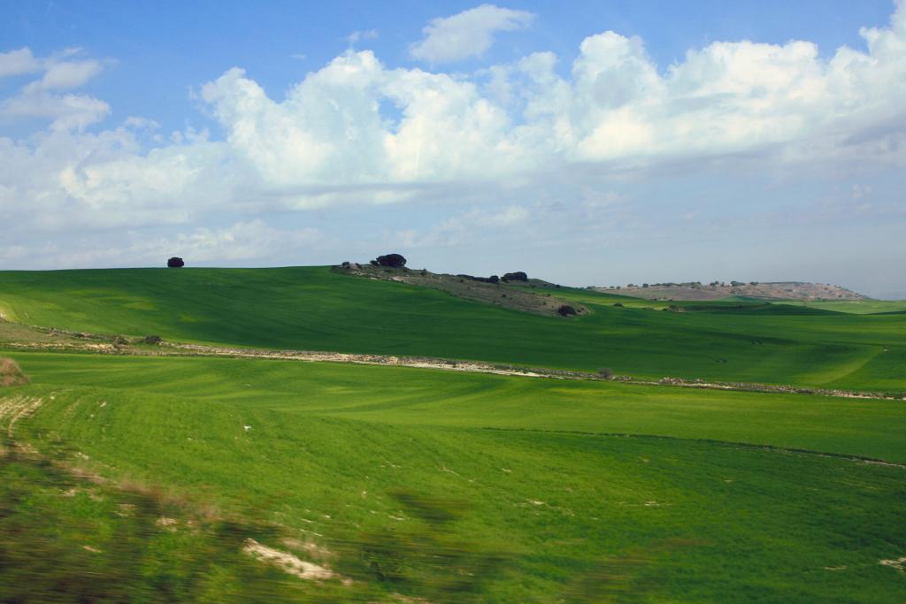 Foto de Baltanas (Palencia), España