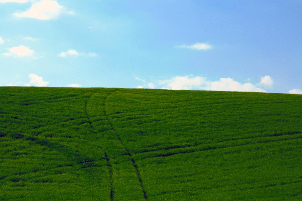 Foto de Baltanas (Palencia), España