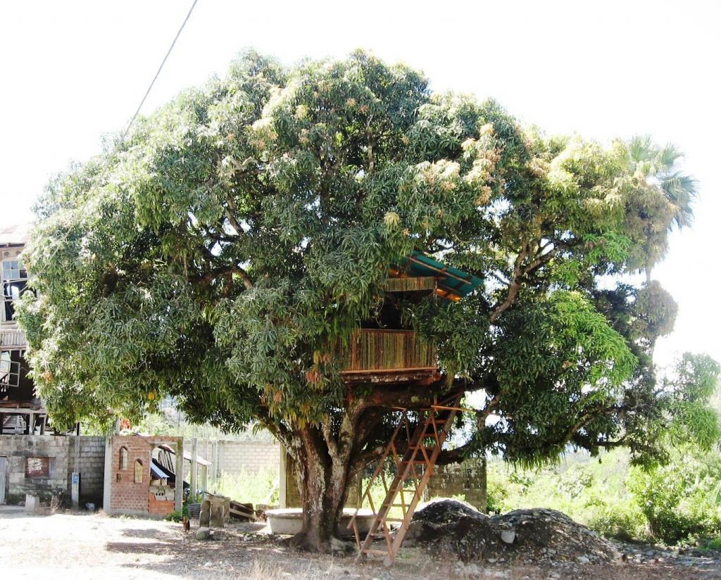 Foto de Chanchamayo, Perú