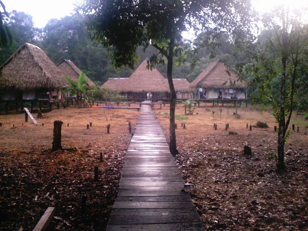 Foto: camping - Cuyabeno, Ecuador