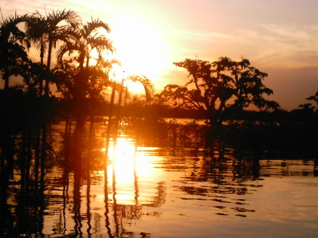 Foto de Cuyabeno, Ecuador