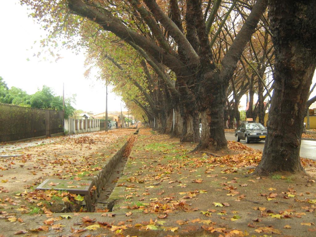 Foto de Limache, Chile