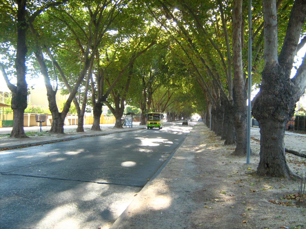 Foto de Limache, Chile