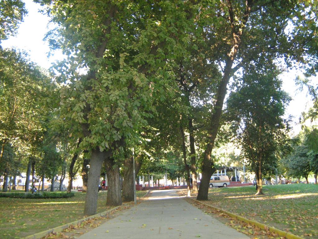 Foto de Limache, Chile